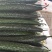 黄瓜应季黄瓜露天种植油皮密刺黄瓜高品质蔬菜