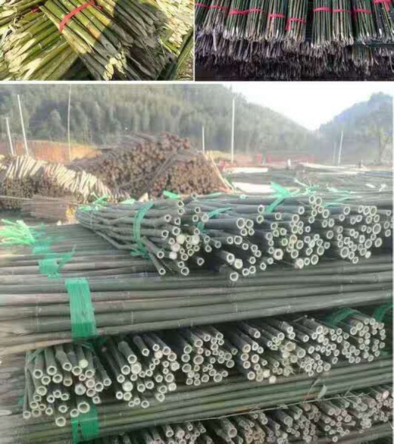 竹竿装饰潢粗楠小竹子防腐菜园搭架竹篱笆栅栏彩旗细竹杆跳舞
