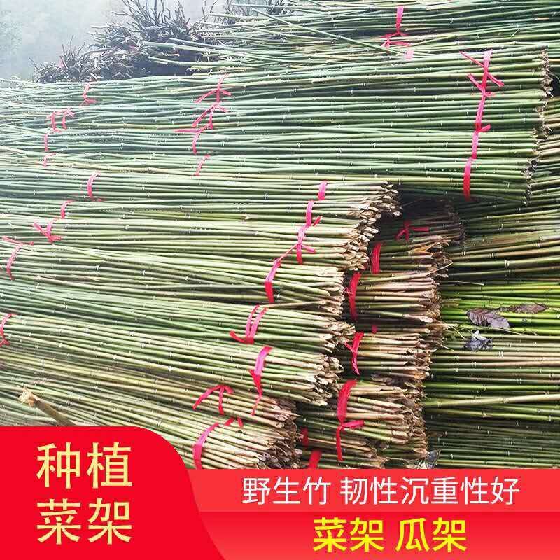 竹竿装饰潢粗楠小竹子防腐菜园搭架竹篱笆栅栏彩旗细竹杆跳舞