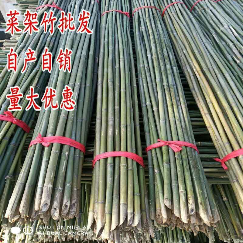 竹竿装饰潢粗楠小竹子防腐菜园搭架竹篱笆栅栏彩旗细竹杆跳舞