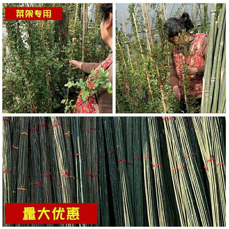 竹竿装饰潢粗楠小竹子防腐菜园搭架竹篱笆栅栏彩旗细竹杆跳舞