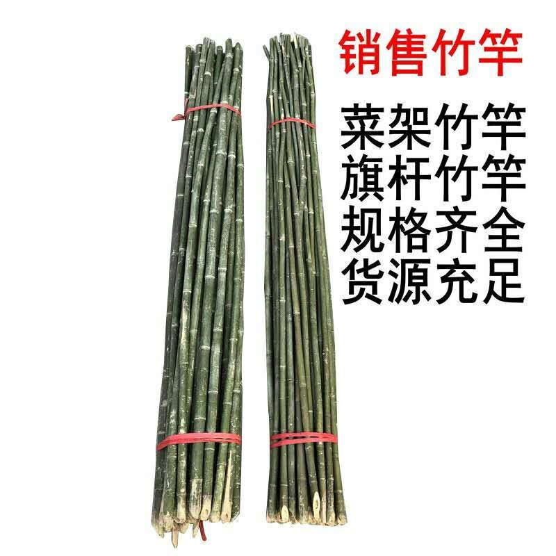 竹竿装饰潢粗楠小竹子防腐菜园搭架竹篱笆栅栏彩旗细竹杆跳舞