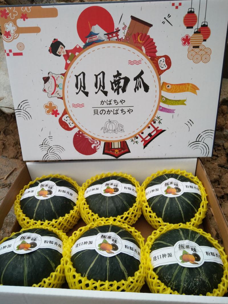 贝贝南瓜礼盒装，对接水果档口，商超，社区团购落地配