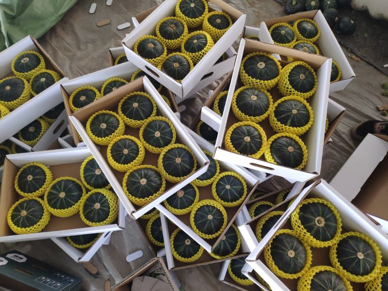 贝贝南瓜礼盒装，对接水果档口，商超，社区团购落地配