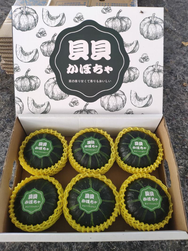 贝贝南瓜礼盒装，对接水果档口，商超，社区团购落地配