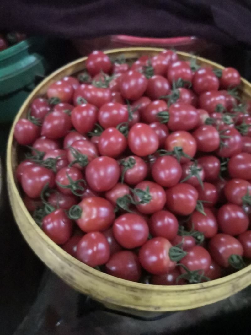 贝贝柿子，圣女果产地商超直供，甘甜可口，走亲访友佳品，欢