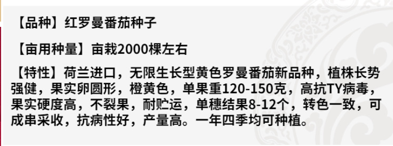 红罗曼番茄种子串收番茄种籽黄罗曼高产抗病