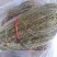 百蕊草，，麦黄草，沮草，，，野生干货，保证质量，长期有货