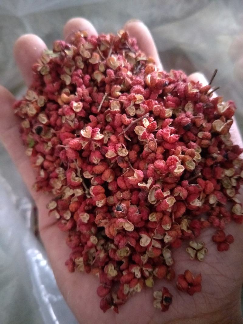 韩城梅花椒，精品花椒，颗粒大，颜色好，深受大家的喜爱。
