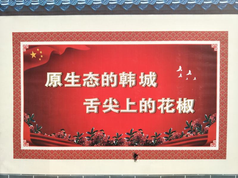 韩城梅花椒，精品花椒，颗粒大，颜色好，深受大家的喜爱。
