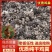 纯干鸡粪，水泥地晾晒，无杂质的优质鸡粪！