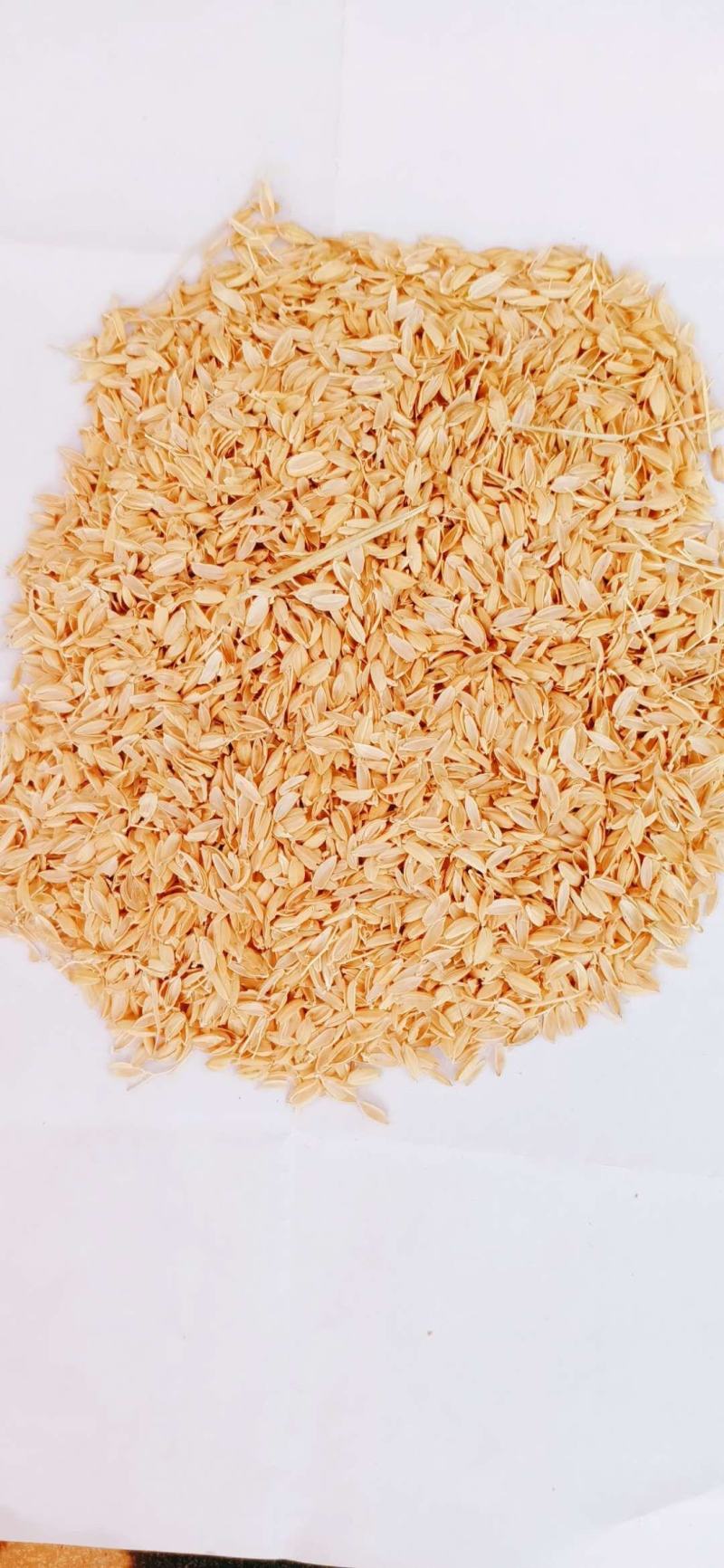 【优质好货】稻壳，精品好货，厂家直销，量大优惠，质量保障