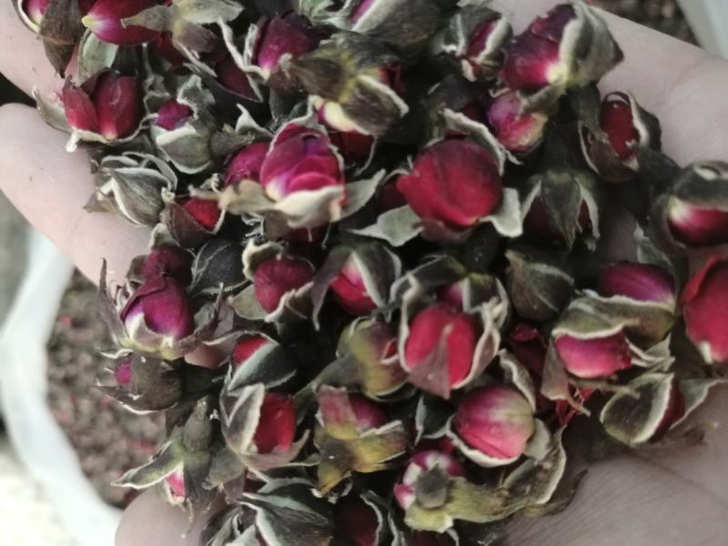 金边玫瑰花金边玫瑰玫瑰花玫瑰花干花