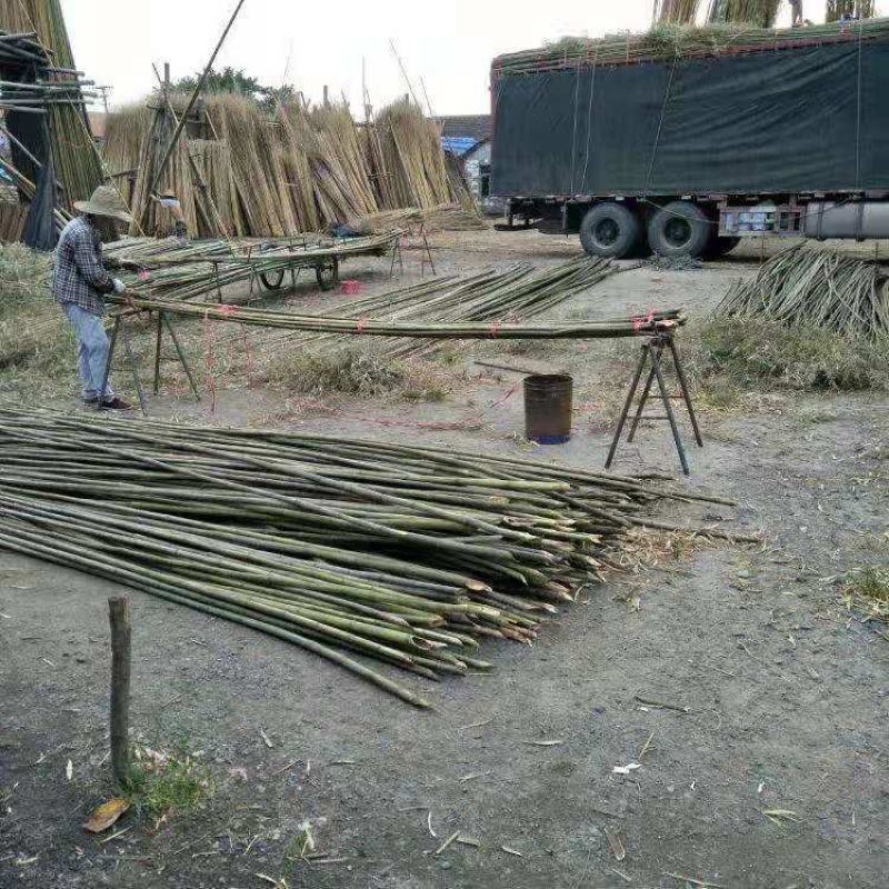 竹竿装饰潢粗楠小竹子防腐菜园搭架竹篱笆栅栏彩旗细竹杆跳舞