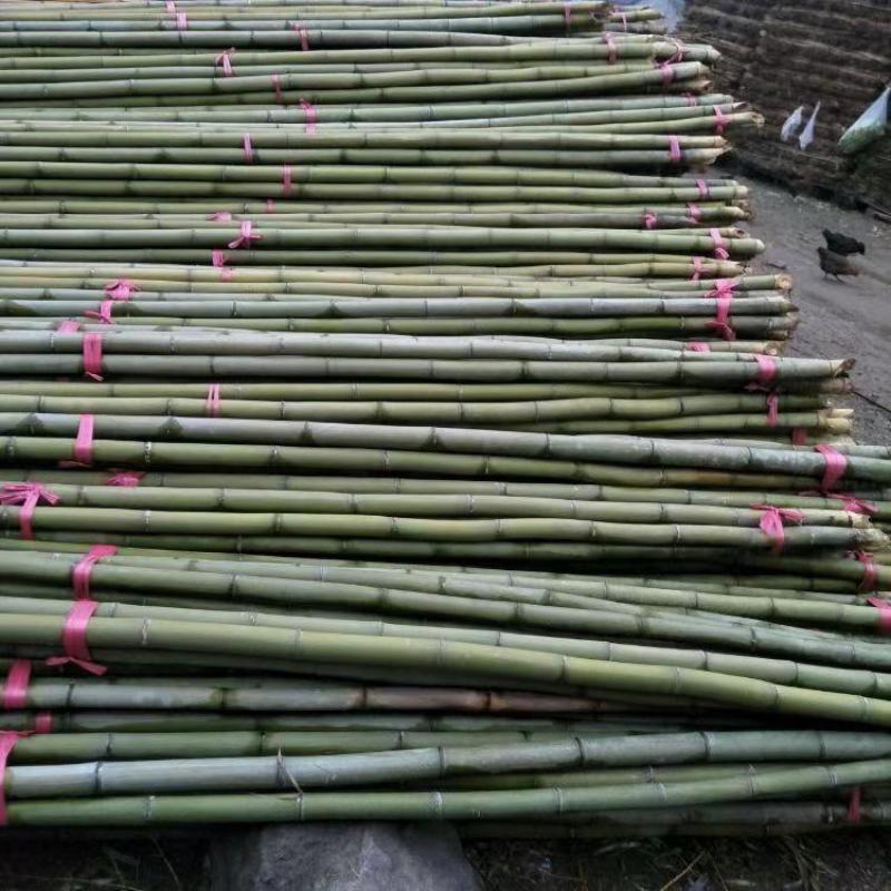 竹竿装饰潢粗楠小竹子防腐菜园搭架竹篱笆栅栏彩旗细竹杆跳舞
