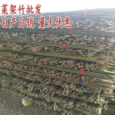 竹竿装饰潢粗楠小竹子防腐菜园搭架竹篱笆栅栏彩旗细竹杆跳舞