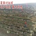 竹竿装饰潢粗楠小竹子防腐菜园搭架竹篱笆栅栏彩旗细竹杆跳舞