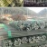 竹竿装饰潢粗楠小竹子防腐菜园搭架竹篱笆栅栏彩旗细竹杆跳舞