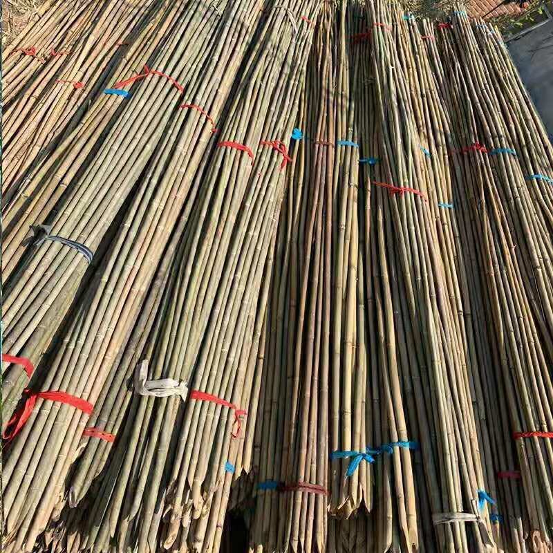 竹竿装饰潢粗楠小竹子防腐菜园搭架竹篱笆栅栏彩旗细竹杆跳舞
