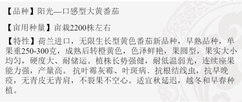 大黄番茄种子特色西红柿种子黄色番茄种籽口感好产量