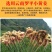 生姜粉食用冲泡云南小黄纯姜粉原始点老干姜粉调料袋