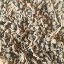 小桂花桂皮