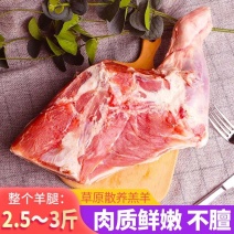 烧烤羊前腿2.5～4斤厂家直销质量上乘饭店必备