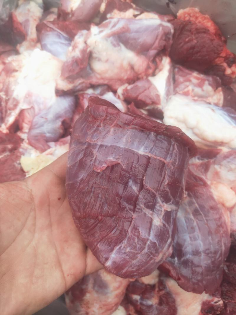 牛肉块几乎无油大块碎肉质量上乘量大价优饭店必备