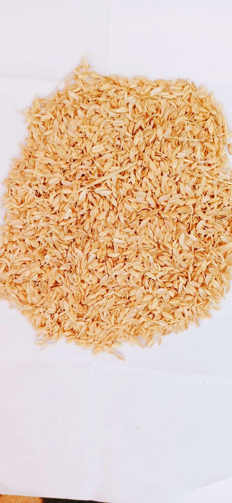 【精选好货】稻壳，品质上乘，量大从优，厂家直销！