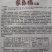 儿菜种子早中熟绿多儿脆嫩清香家乐福儿菜种子