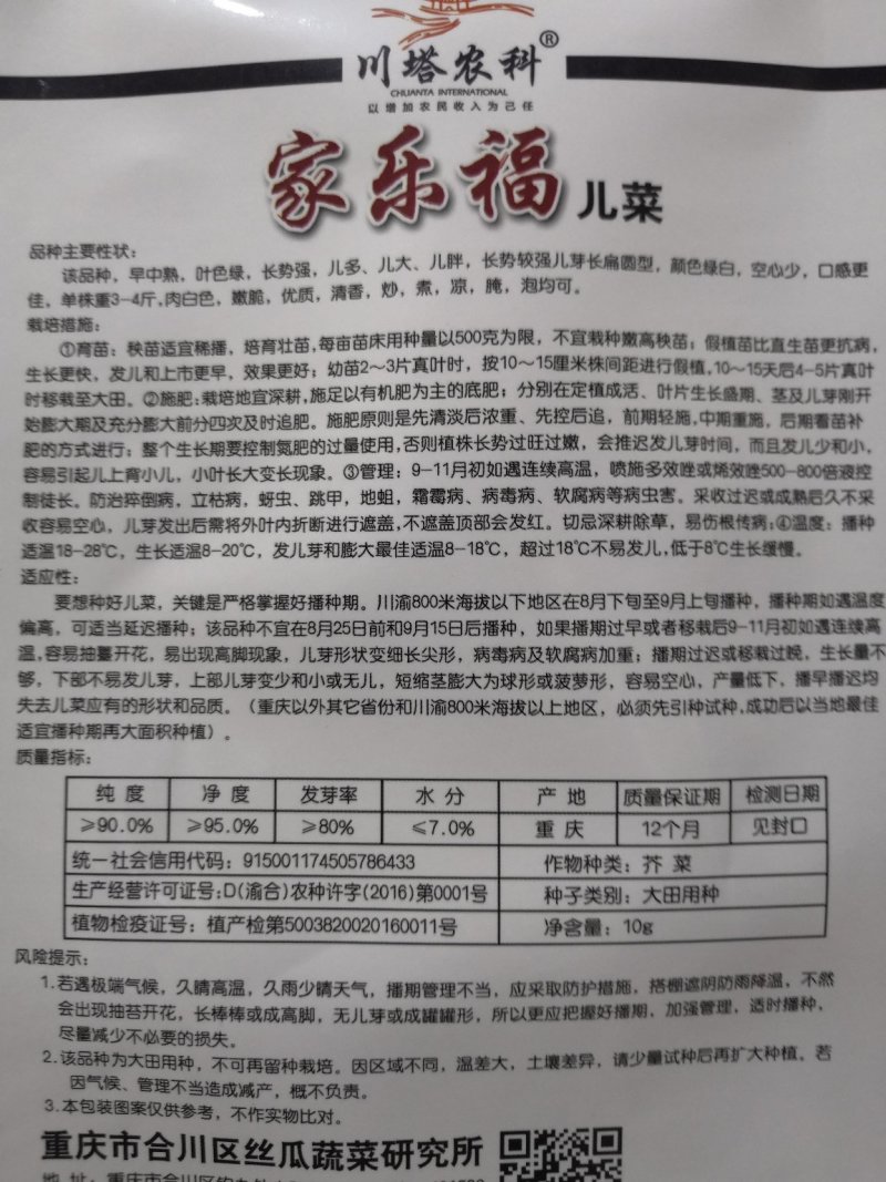 儿菜种子早中熟绿多儿脆嫩清香家乐福儿菜种子