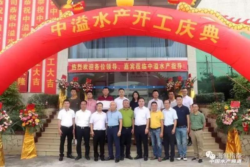 国产巴沙，一吨起也发发发发发发，只要你需要这条鱼。
