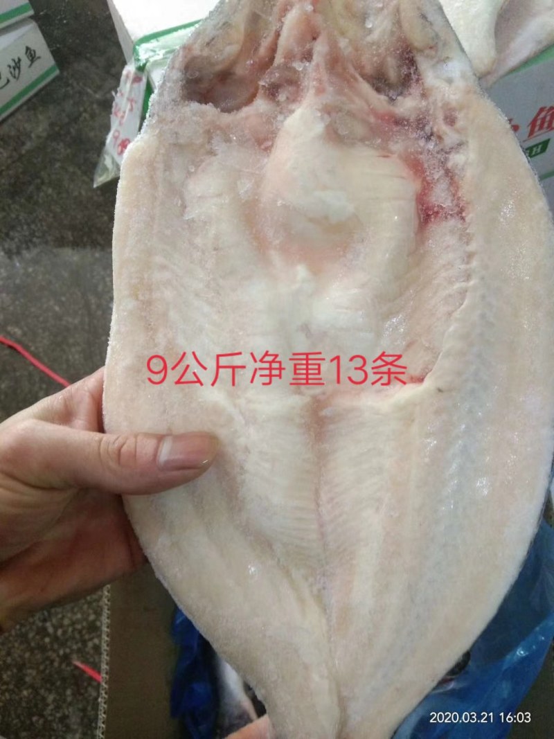 国产巴沙，一吨起也发发发发发发，只要你需要这条鱼。