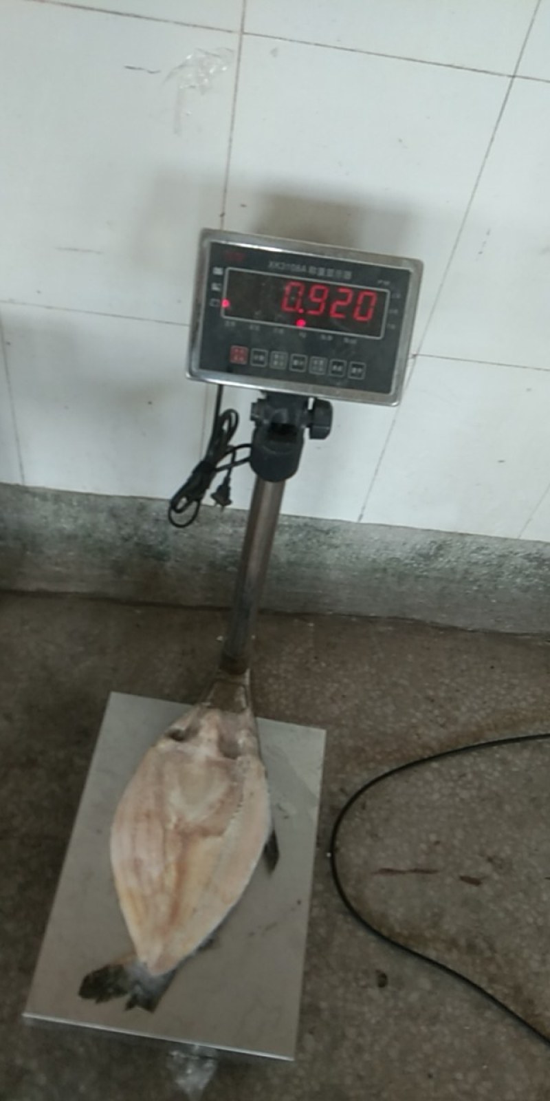 国产巴沙，一吨起也发发发发发发，只要你需要这条鱼。