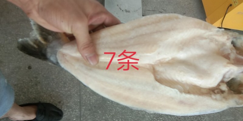 国产巴沙，一吨起也发发发发发发，只要你需要这条鱼。