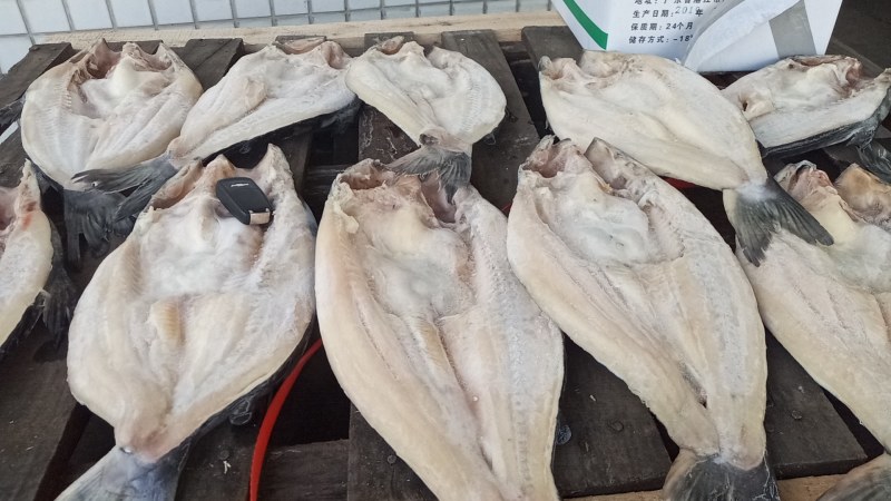国产巴沙，一吨起也发发发发发发，只要你需要这条鱼。