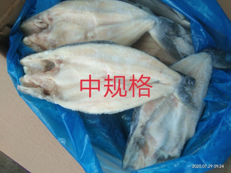 国产巴沙，一吨起也发发发发发发，只要你需要这条鱼。