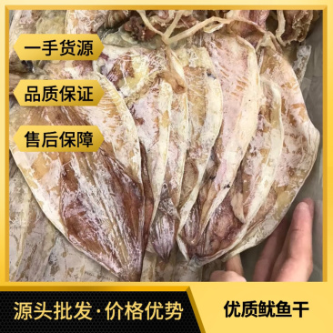 源头批发A1A2A3号烧烤鱿鱼干纯淡干新鲜厚肉