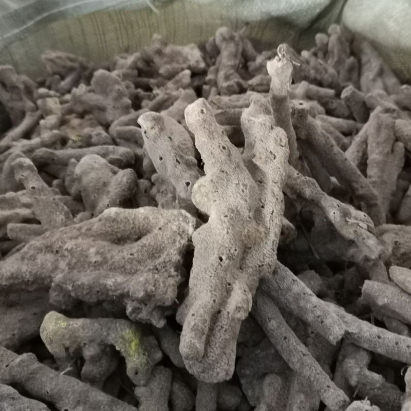 紫稍花紫梢花令售各种外用药材大量有货，需要联系我