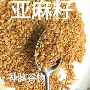 亚麻籽黄金亚麻籽无糖高纤低脂饱腹亚麻籽粗粮康包邮