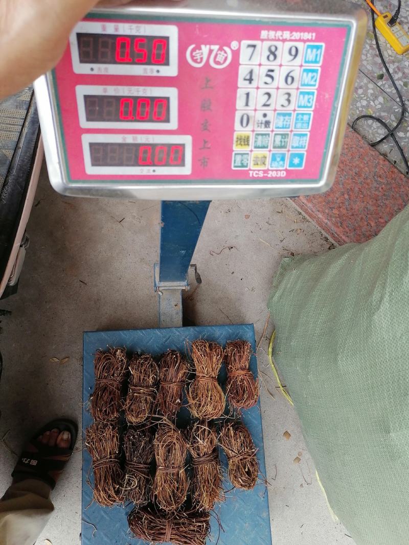 广西鸡骨草，小扎把，切段都有，一斤十把左右，新鲜干净干货