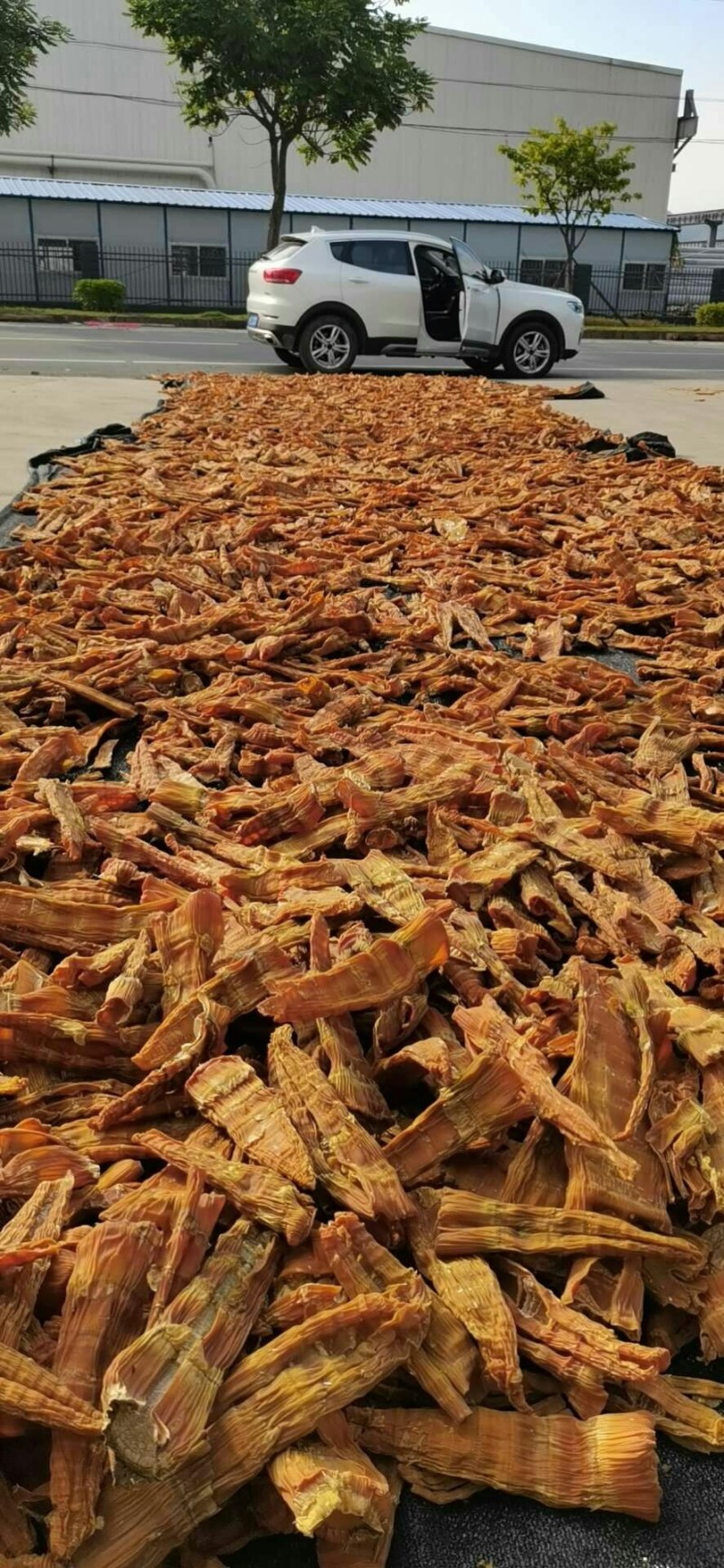 福建笋干大量现货供应，各种笋制品，欢迎对接