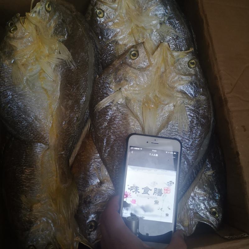 真食膳福建特产霞浦大黄瓜鱼