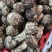 香格里拉，精品松茸好