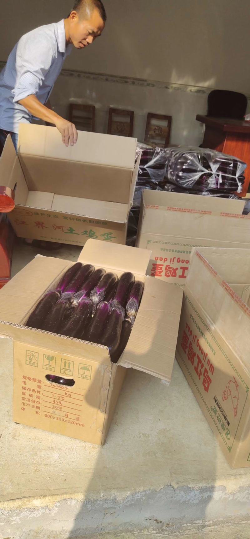长茄，烧烤茄，产地直供，产地代办，
