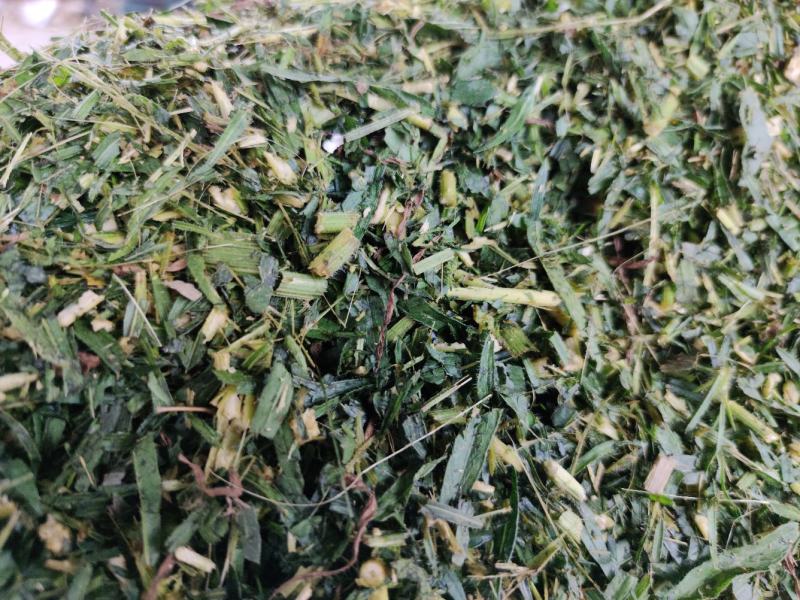 铡草机铡切谷草稻草野生草麦秸玉米秸各种草料粉碎