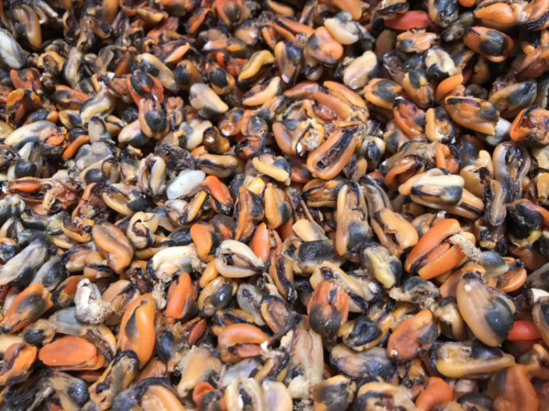工厂批发大连淡菜干100-800头淡菜批发