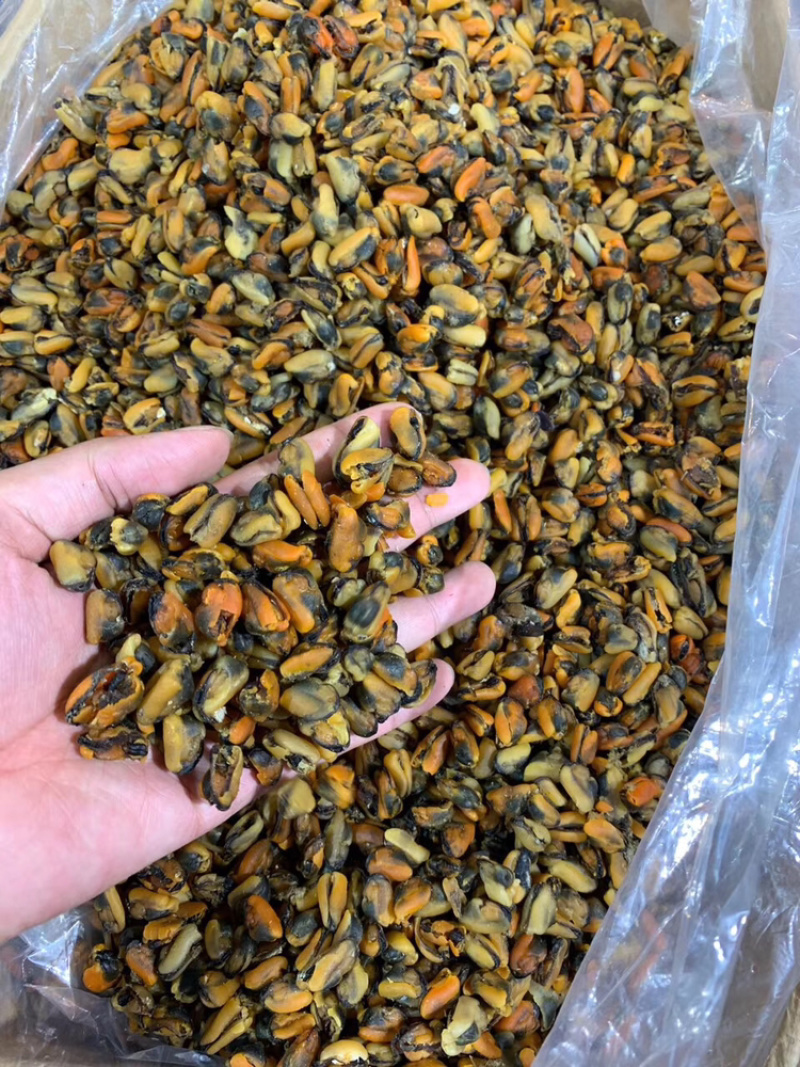 工厂批发大连淡菜干100-800头淡菜批发