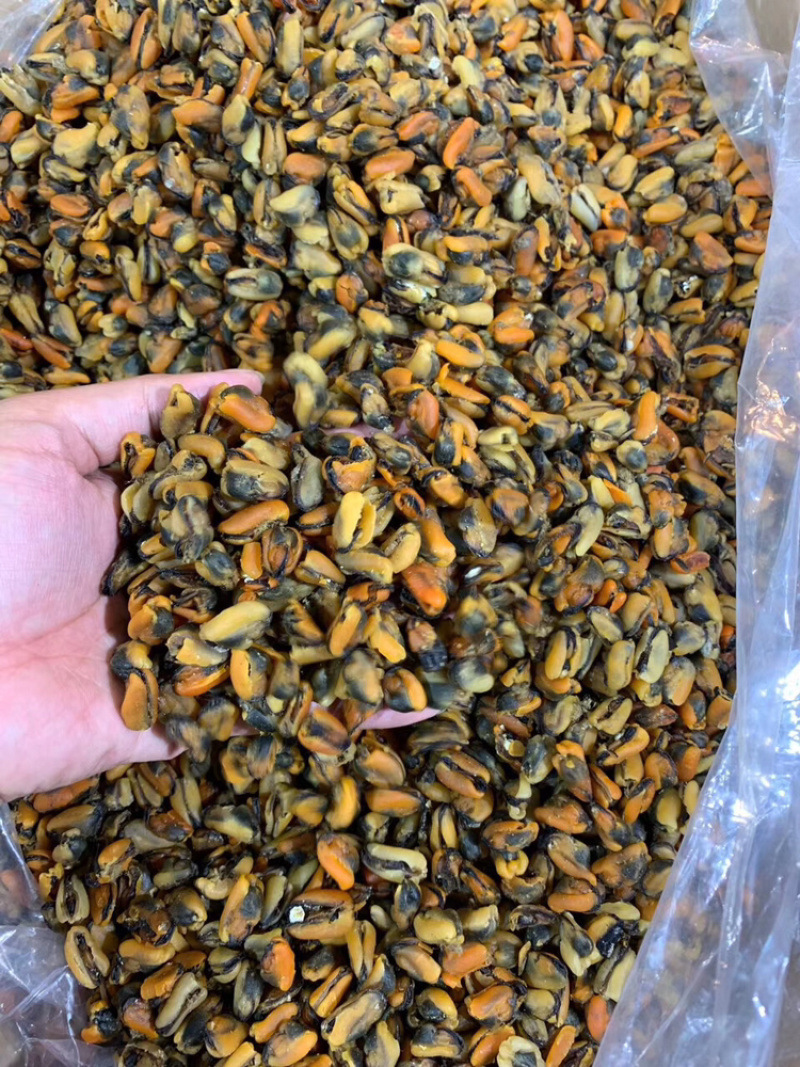 工厂批发大连淡菜干100-800头淡菜批发