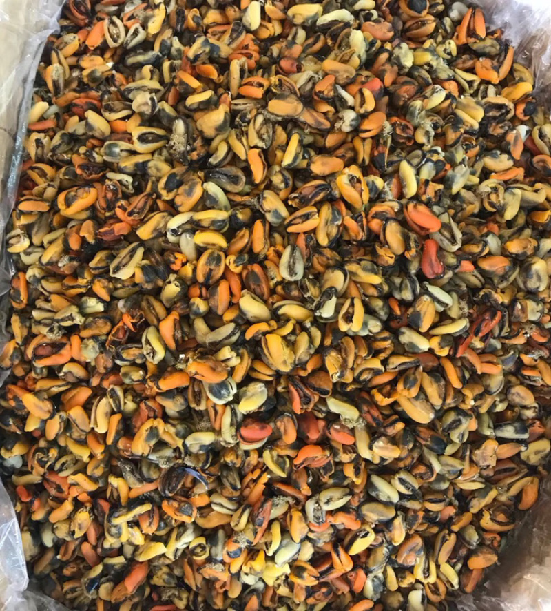 工厂批发大连淡菜干100-800头淡菜批发